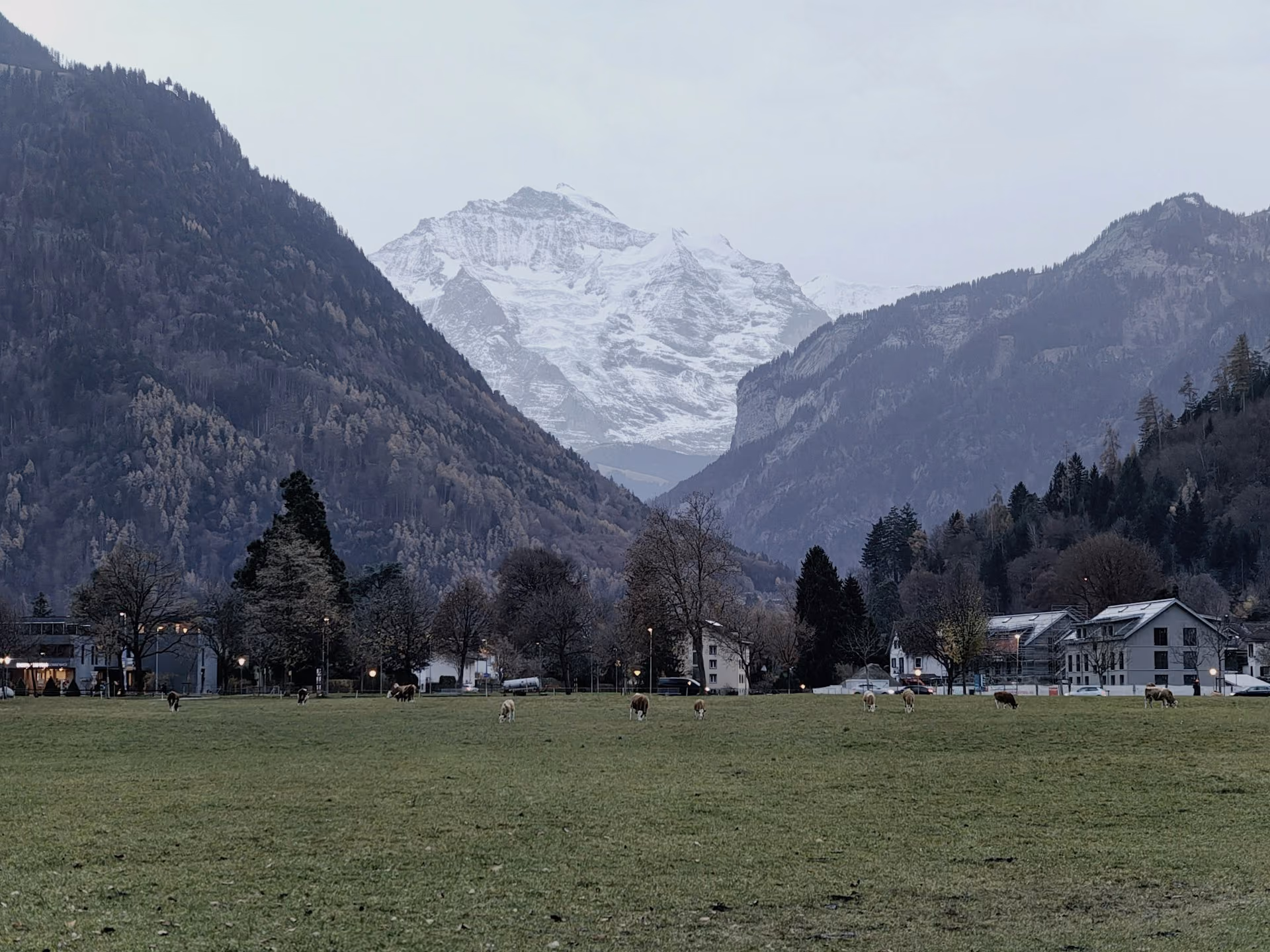 Berner Oberland (Thun-Interlaken-Brienz) — paysage 2
