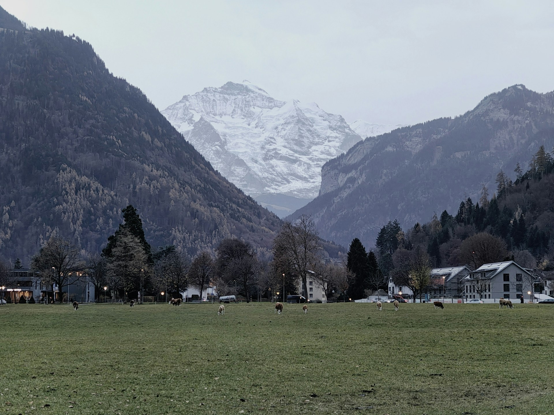 Berner Oberland (Thun-Interlaken-Brienz) — paysage 2