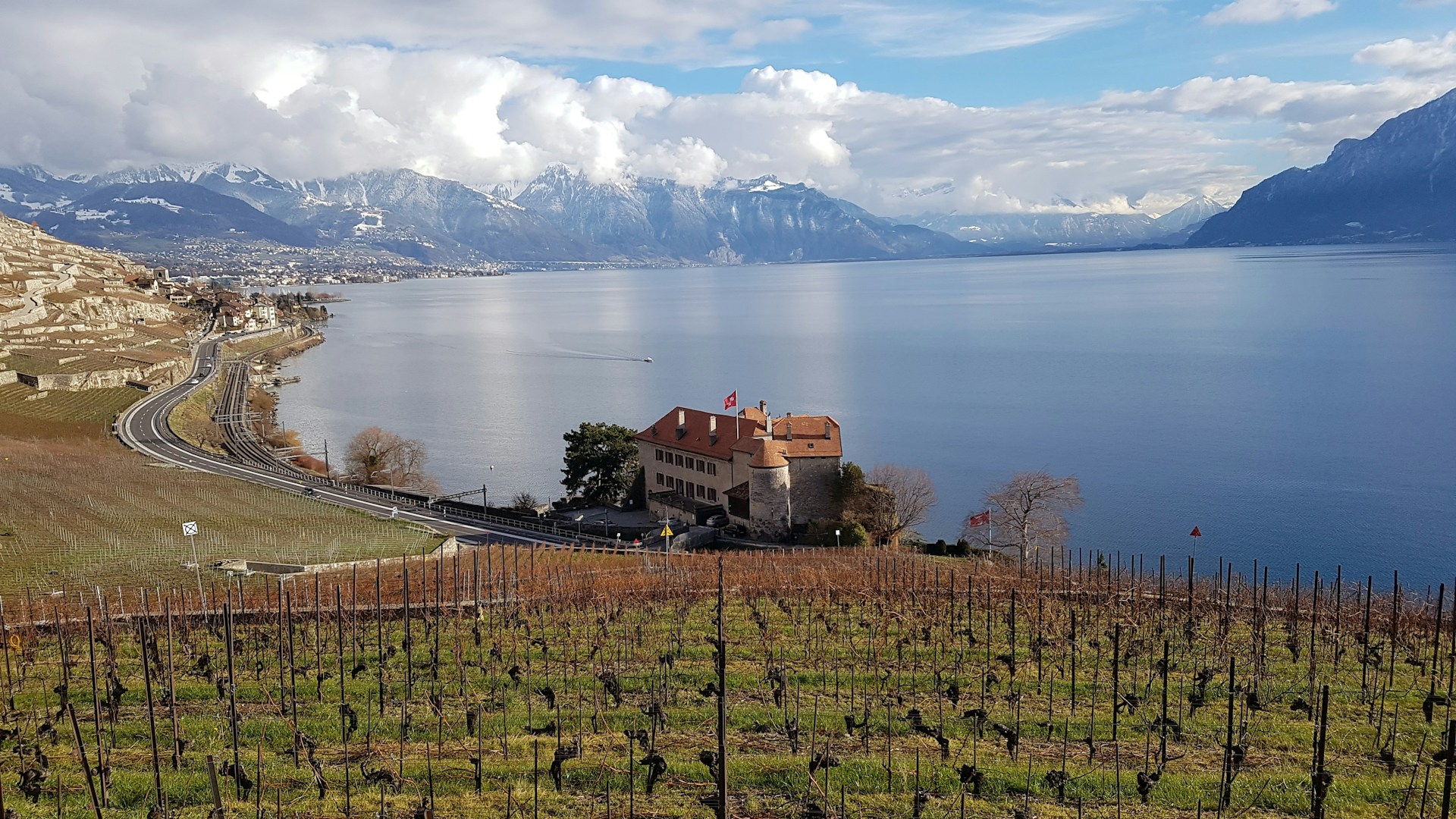 Vignobles Lavaux & Léman