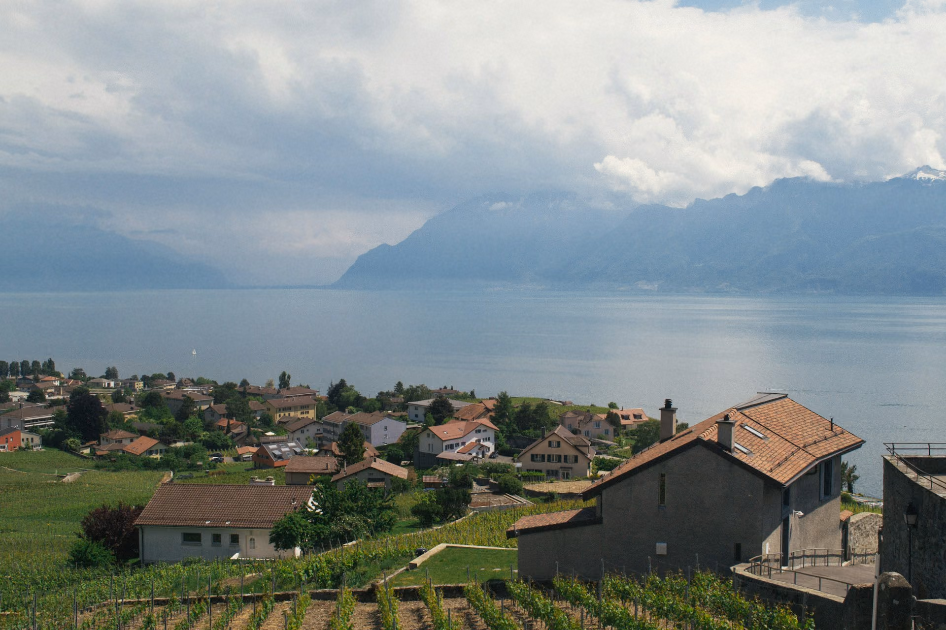 Lavaux-Rebberge & Genfersee — paysage 2