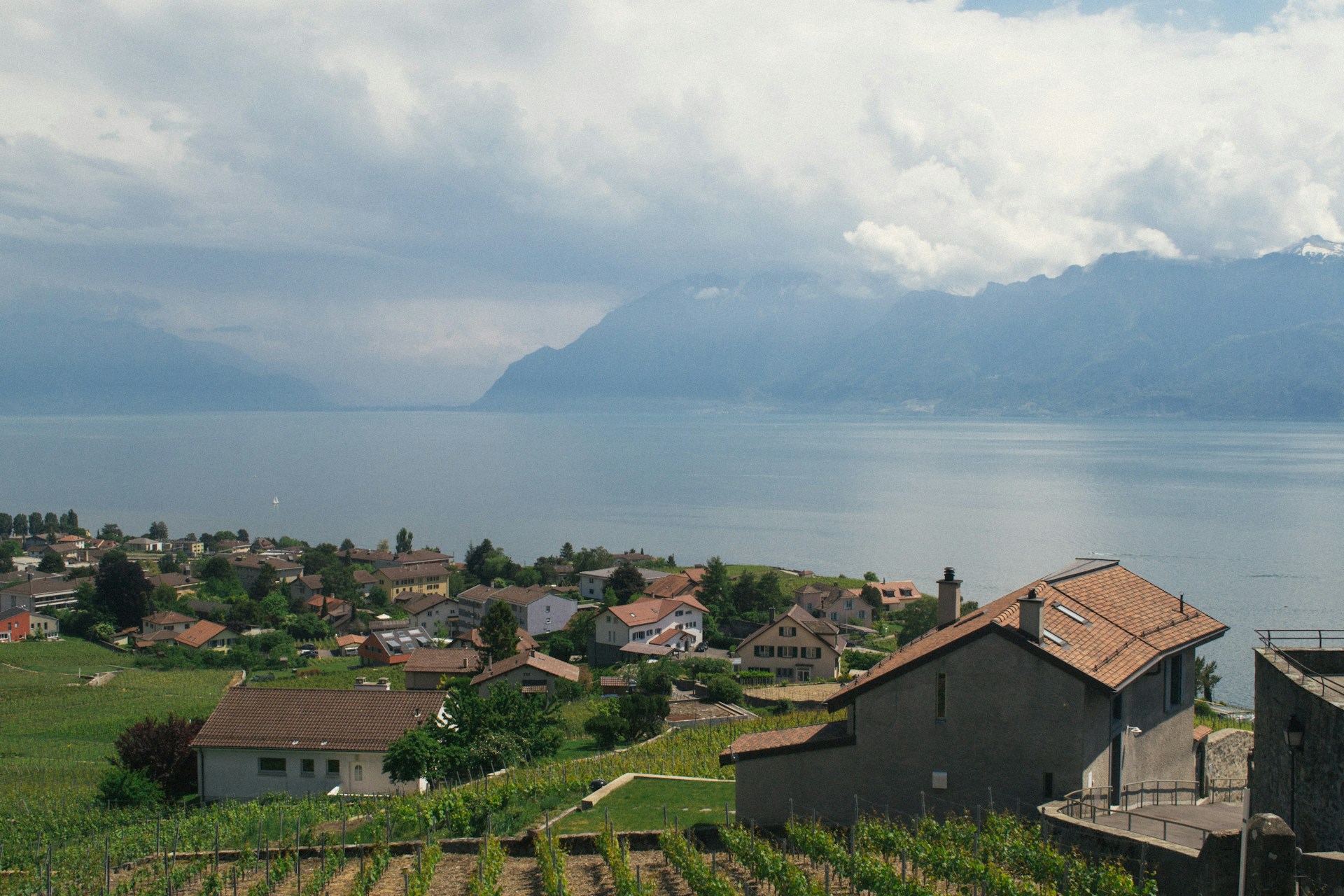 Lavaux-Rebberge & Genfersee — paysage 2