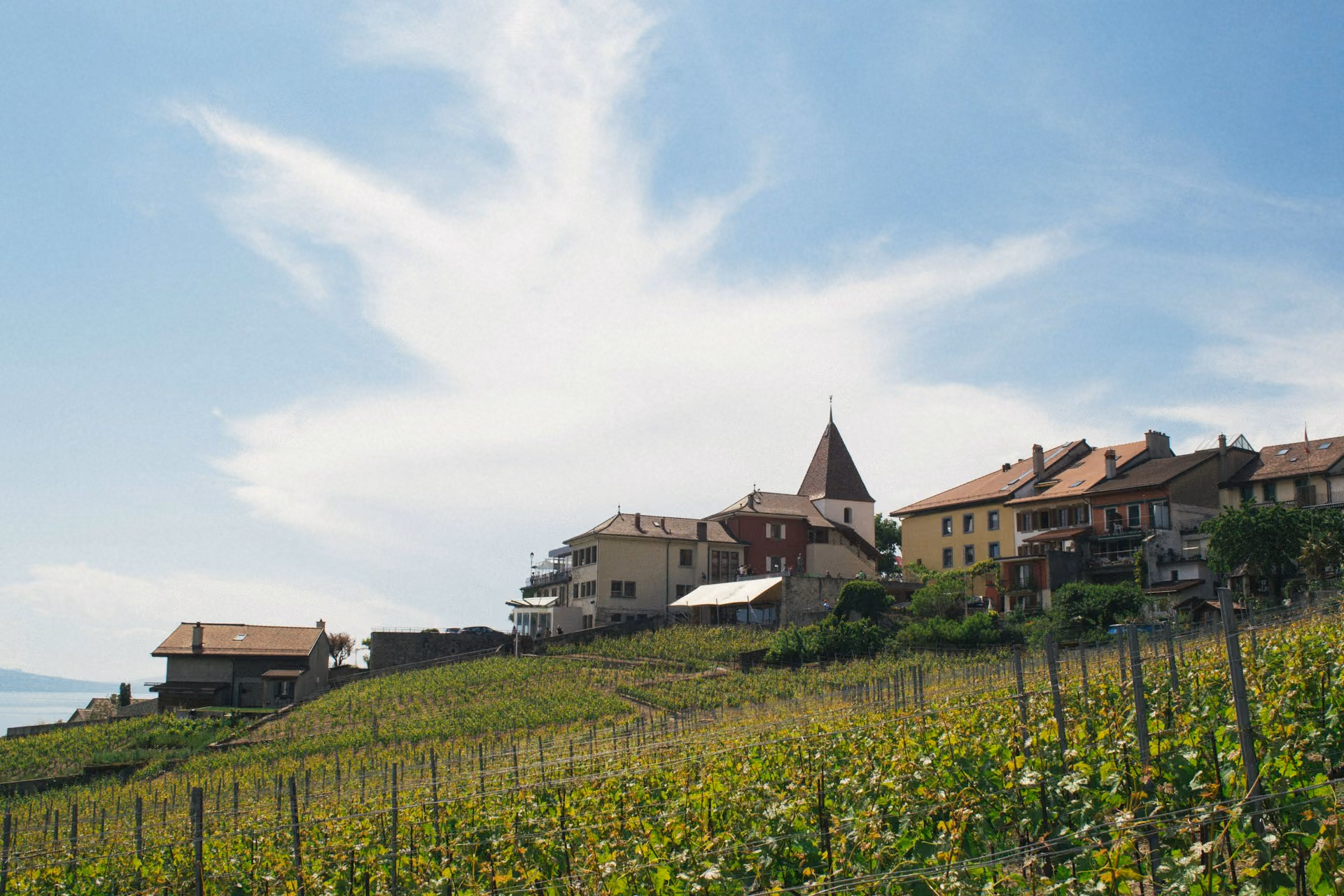 Lavaux-Rebberge & Genfersee — paysage 3