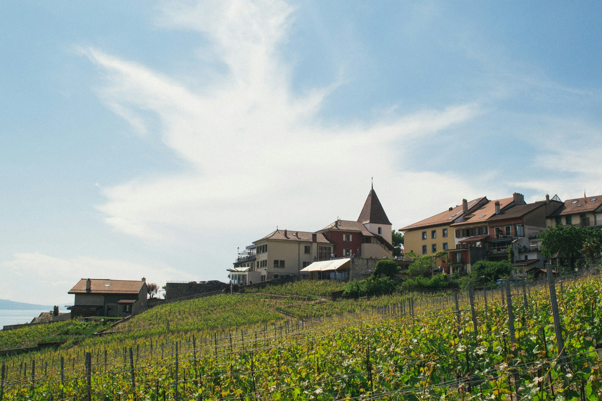 Lavaux-Rebberge & Genfersee — paysage 3