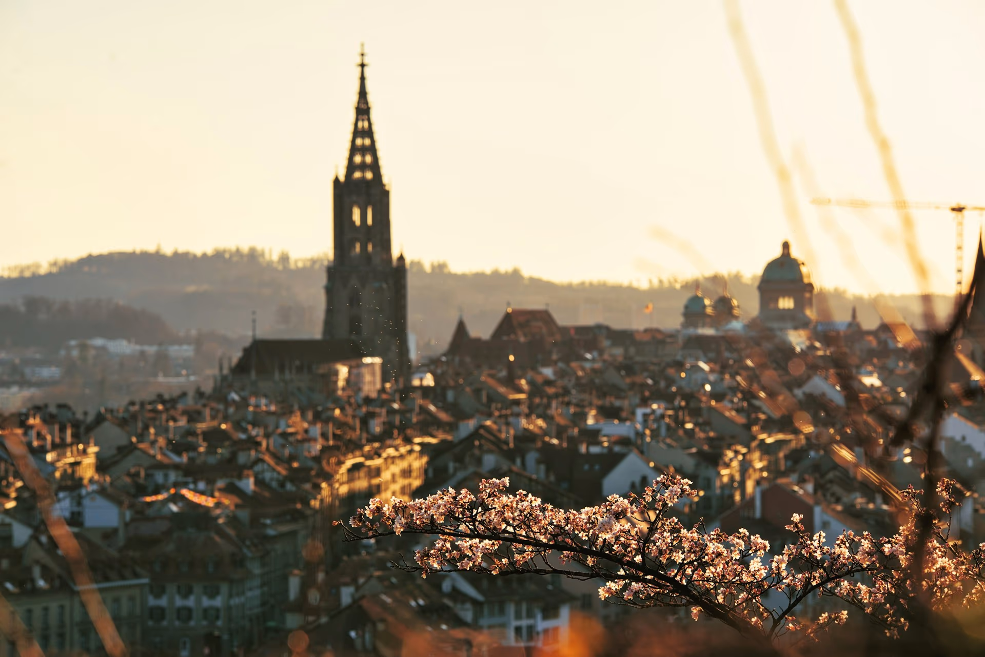 Bern — vue 2